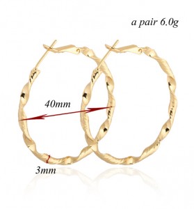 Newest Fashion Women Jewelry Rose Gold Big Twisted Hoop Earrings