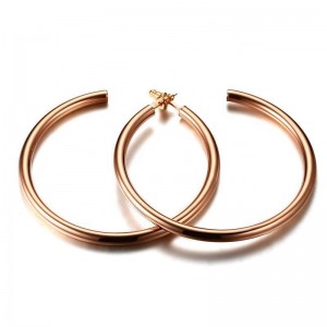 Gold hoop earrings big circle titanium steel earrings