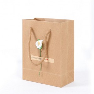 Wholesale custom logo rope handle craft kraft jewelry paper bag