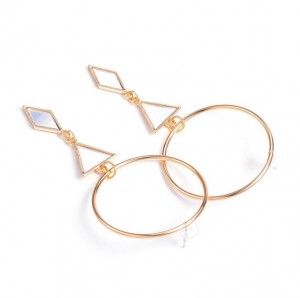 24K Gold Exaggerating Circle Modern Minimalist Geometric Earrings Women